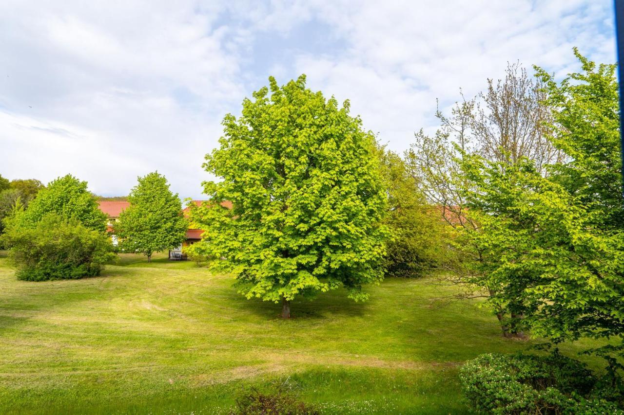 Feriendorf Rugana - Budget Appartement Mit 1 Schlafzimmer A39 Dranske Eksteriør billede
